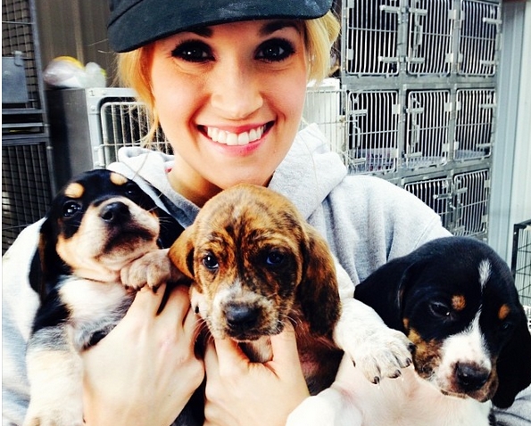 Carrie Underwood – Animal Shelter
