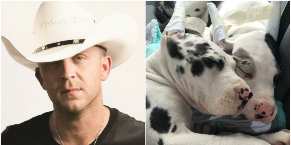 How Justin Moore Ended Up with Two 200-Pound ‘Inside Dogs’