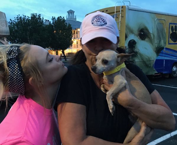 Miranda Lambert’s MuttNation Foundation Rescues 72 Dogs During First Day of Hurricane Harvey Recovery