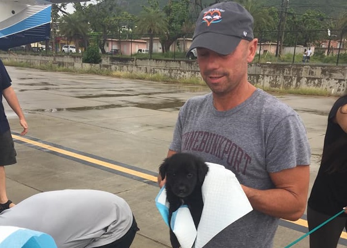 Kenny Chesney Helps Rescue Hundreds of Pets From U.S. Virgin Islands