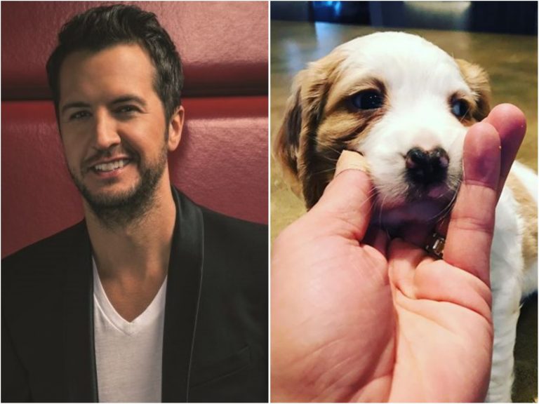 Luke Bryan Got a Puppy Just in Time For Christmas