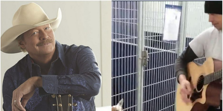 Alan Jackson’s Music Mesmerizes Shelter Dogs in Adorable Video