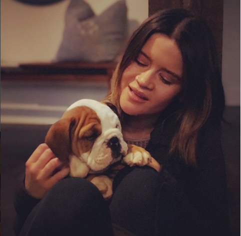 Maren Morris Adds New Puppy to Her Family