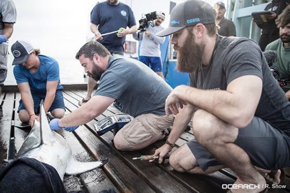 Jordan Davis Shares the Remarkable Truth Behind His ‘Shark Week’ Photo