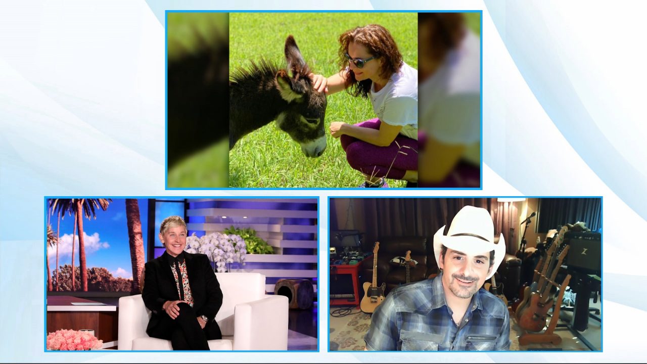 Brad Paisley Talks Donkey Rescue and Free Groceries on ‘Ellen’
