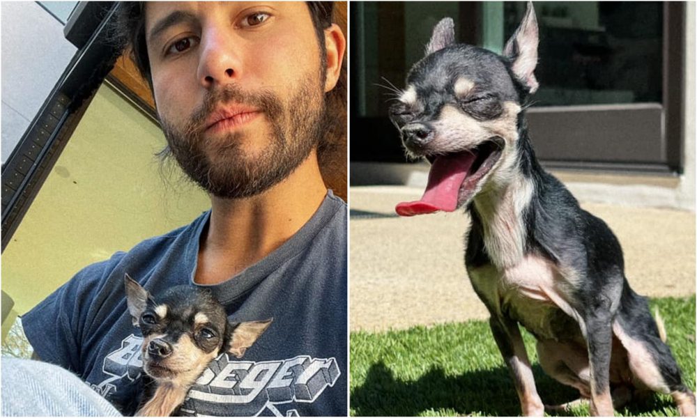 Dan Smyers’ 16-Year-Old Rescue Dog Passes Away