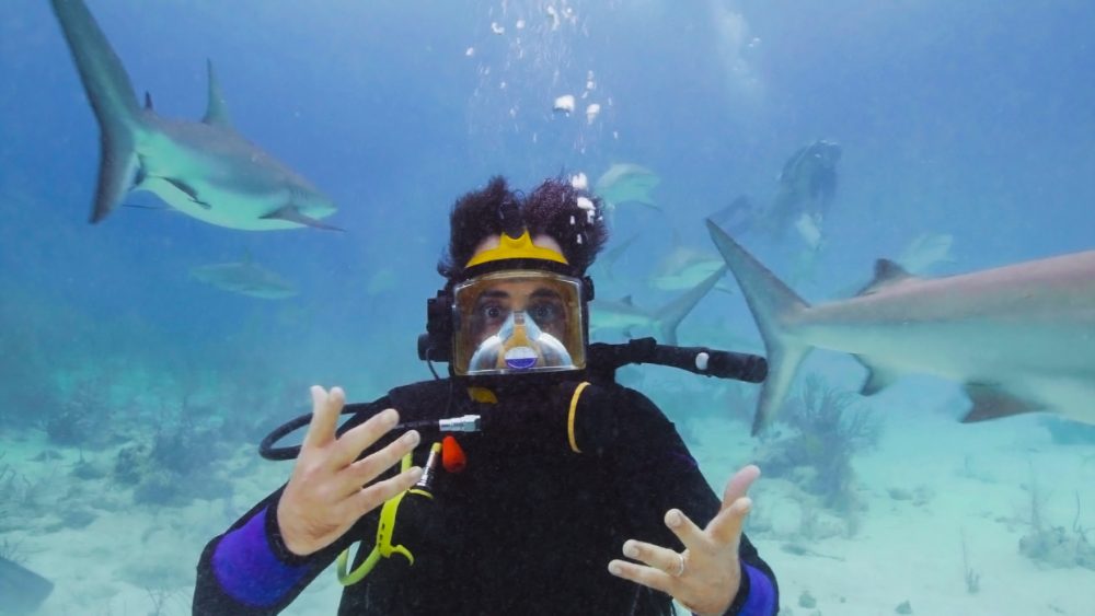 Brad Paisley Sings for Sharks During Discovery’s Annual ‘Shark Week’